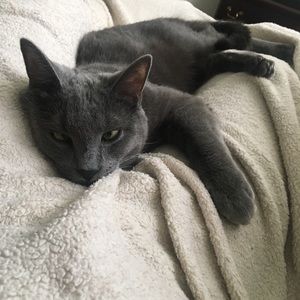 Meet your Posher, Maryam